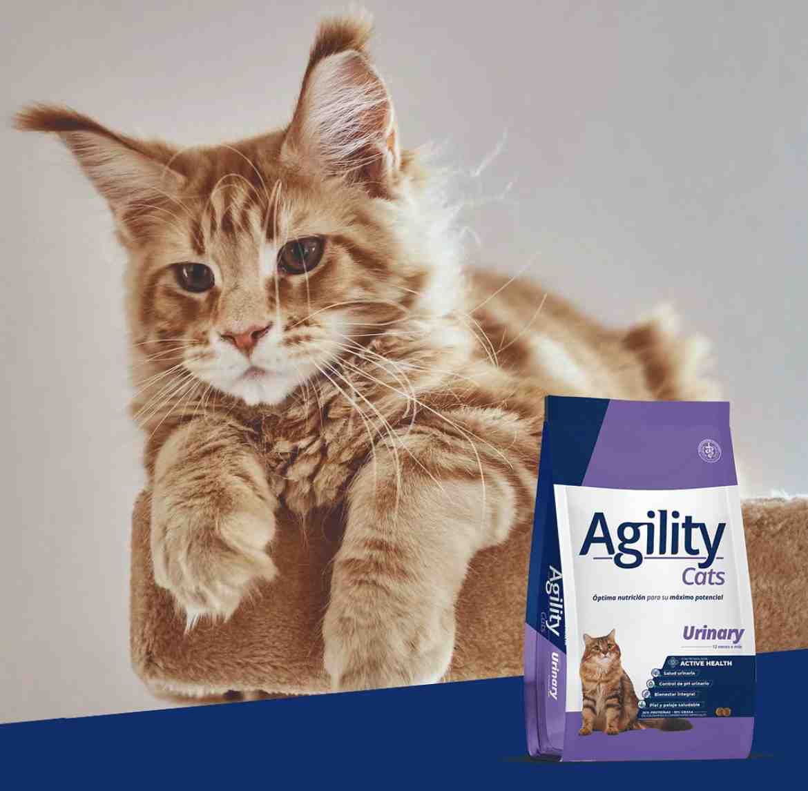 AGILITY CATS URINARY X1,5 KG 