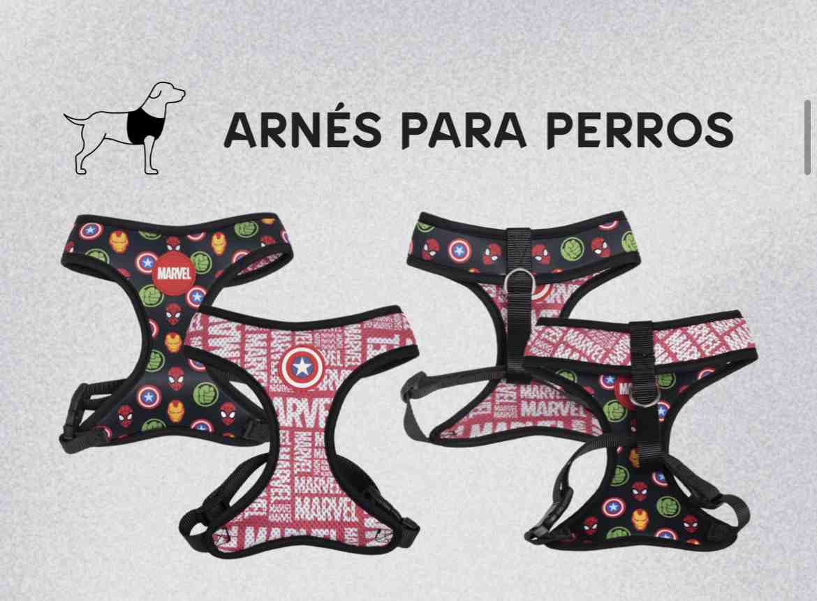 ARNES MARVELL REVERSIBLE S-M