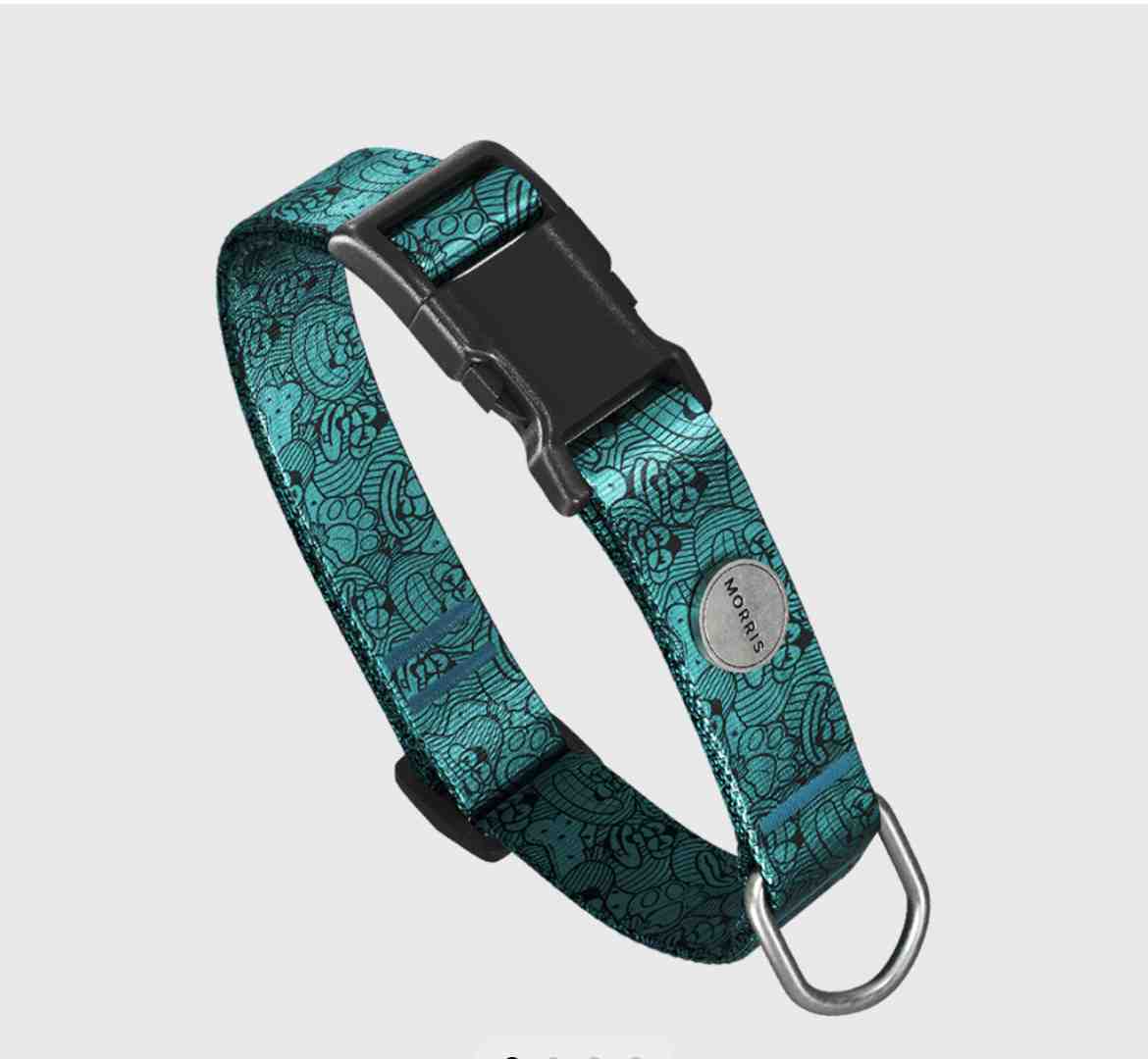 MORRIS COLLAR TIFF TALLE  M 