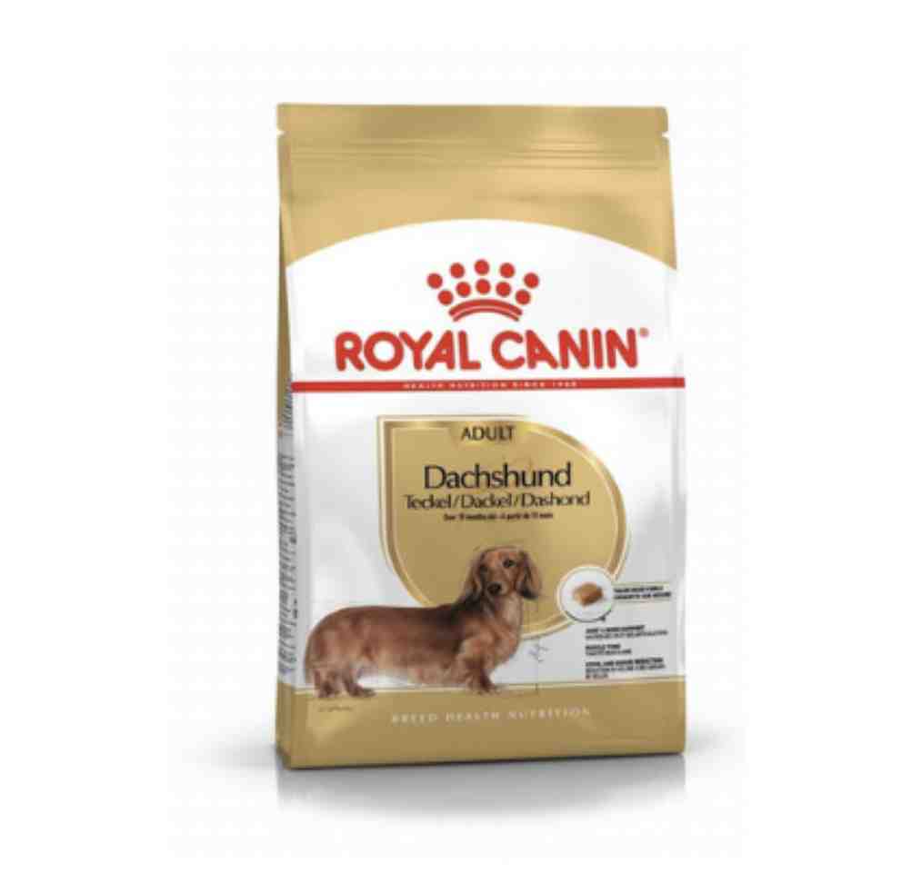 ROYAL DACHSHUND ADULTO 3KG