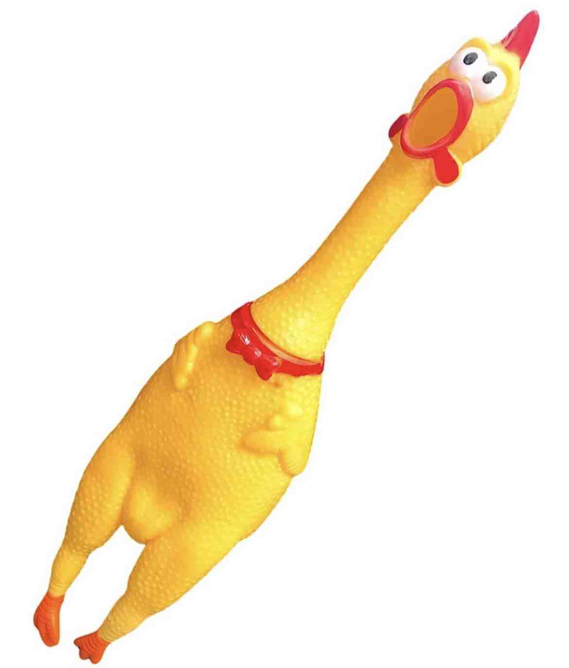 GALLINA CON CHIFLE MEDIANA 