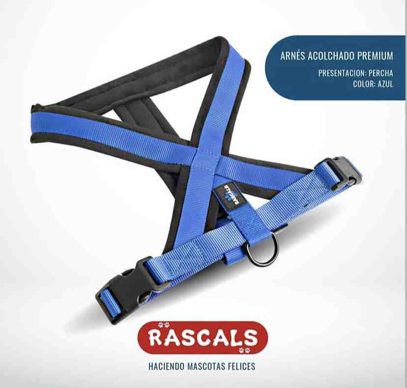 PRE101-L/XL Arnés acolchado Premium  azul l/xl