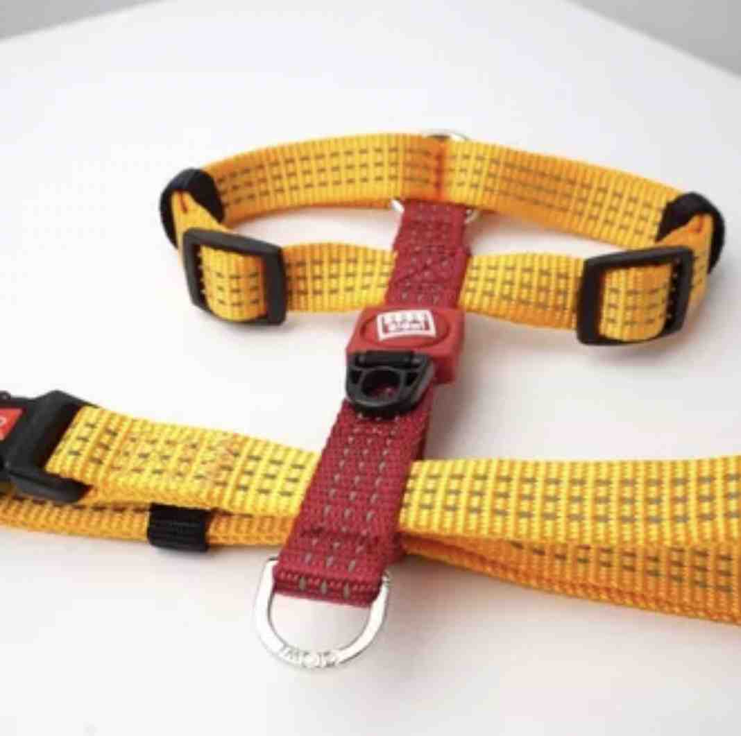 8336 GIGWI  HARNESS  CLASSIC LINE M