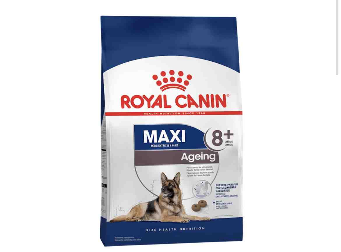 ROYAL MAXI ADULT +8 AÑOS