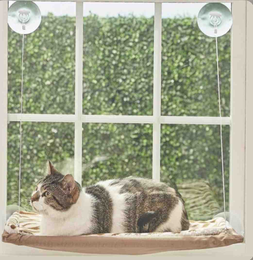 CUNA PARA VENTANA  DE GATO  ZOOTEC