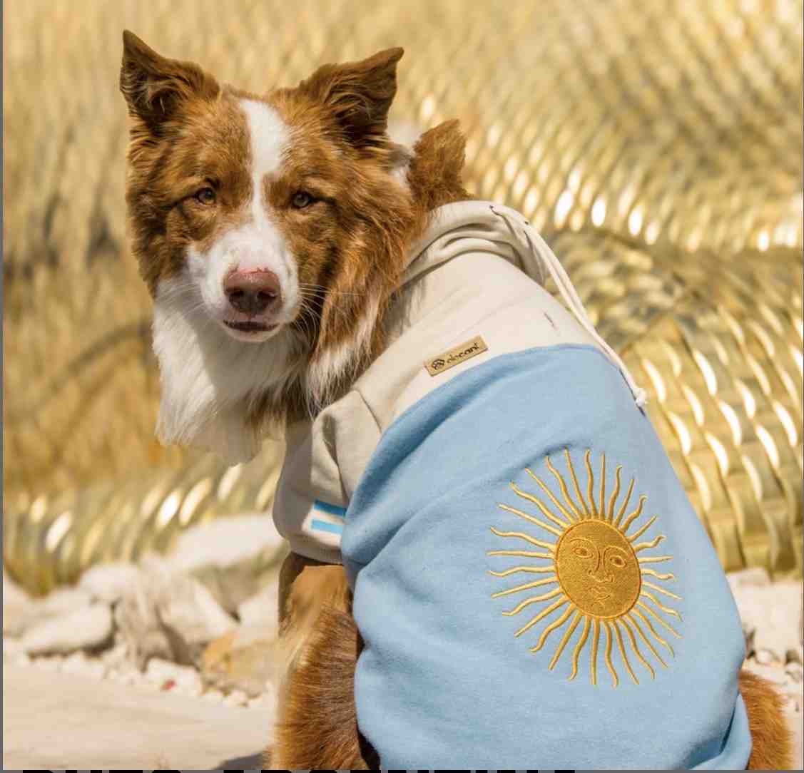 ART 486 BUZO ARGENTINA TALLE 6