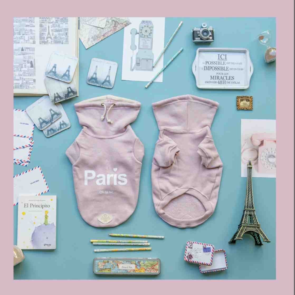 ART 479 BUZO PARIS ROSA TALLE 1