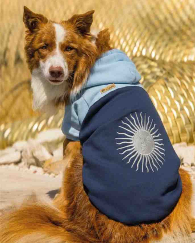 ART 387 BUZO ARGENTINA AZUL Y CELESTE TALLE 7