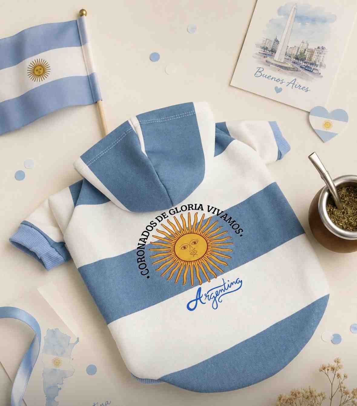 BUZO ARGENTINA CON MANGA PARA GALGO TALLE 6