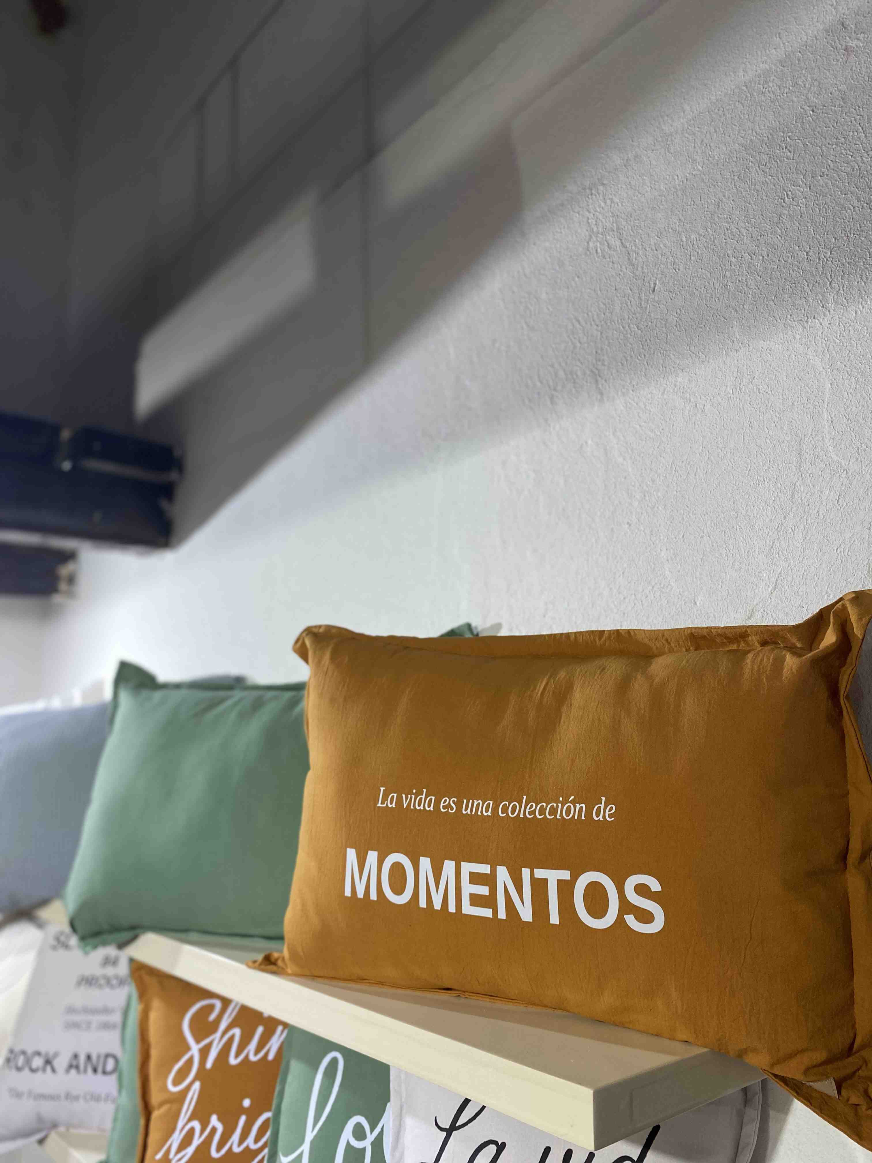 ALMOADON ESTAMPADO 70X50CM (COSULTAR ESTAMPAS)