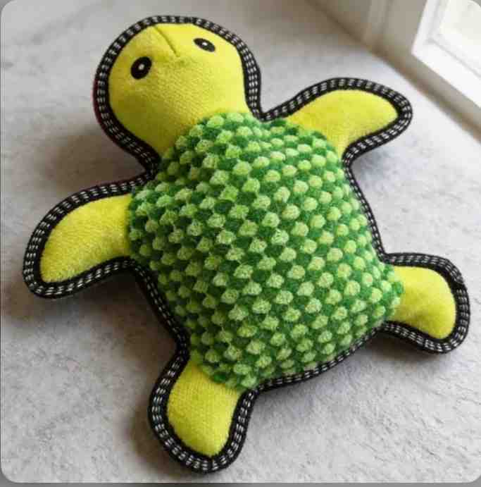 BP1811 TORTUGA