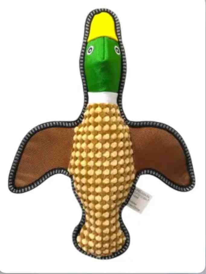 BP1458 PATO