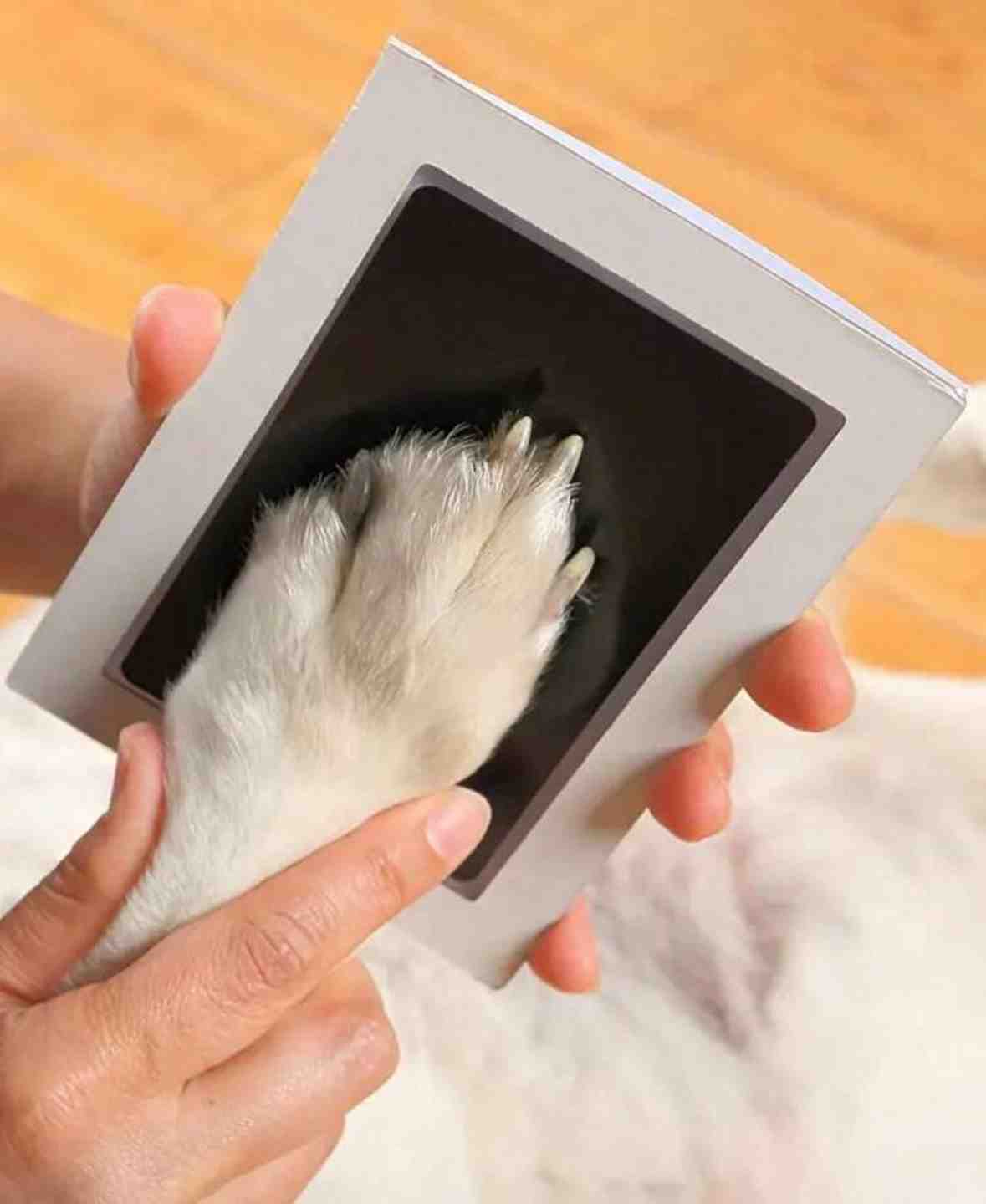 KIT PARA IMPRESION DE HUELLITAS BEEPAW
