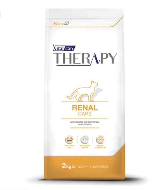 VITAL CAN THERAPY GATO RENAL CARE X 2KG