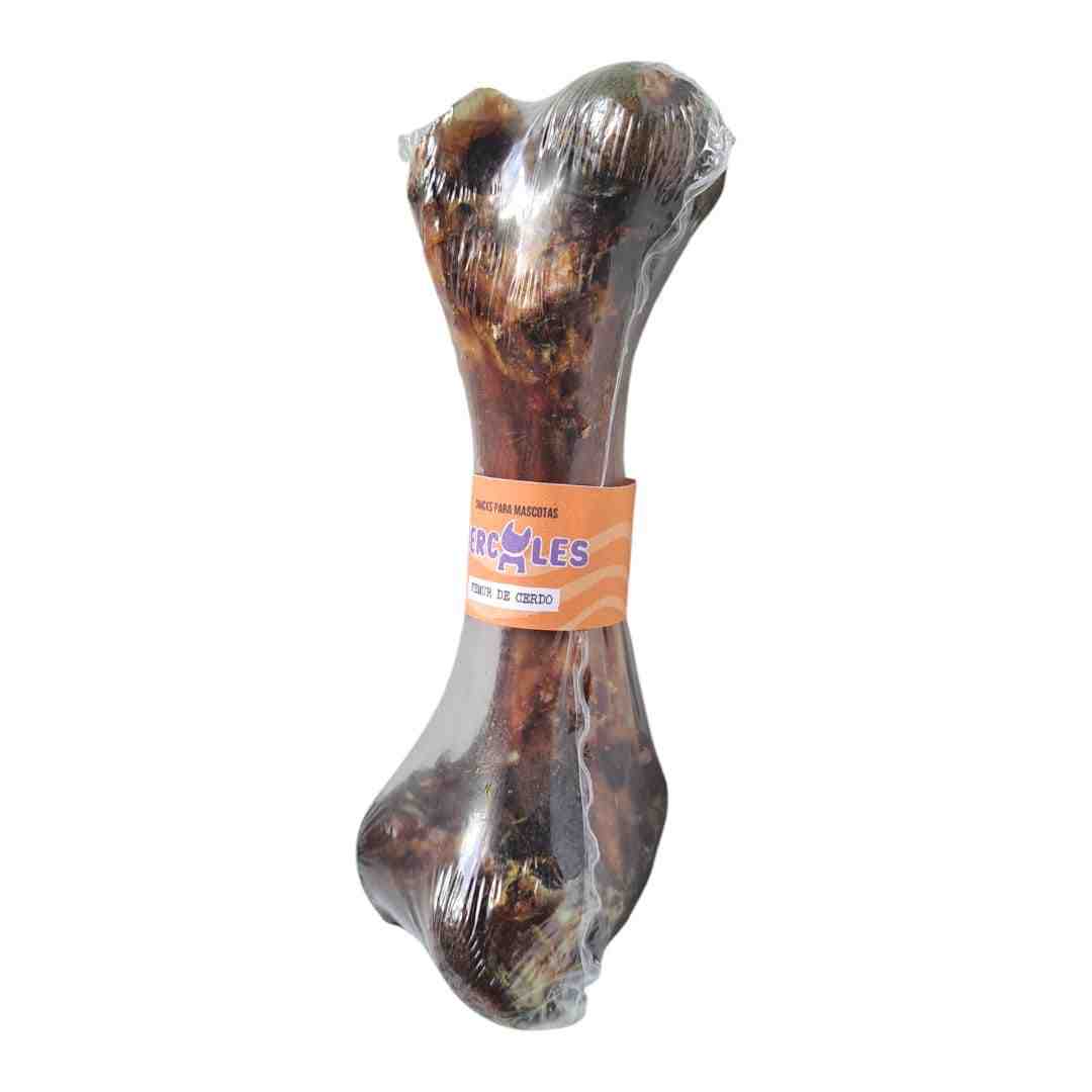 FEMUR HERCULES