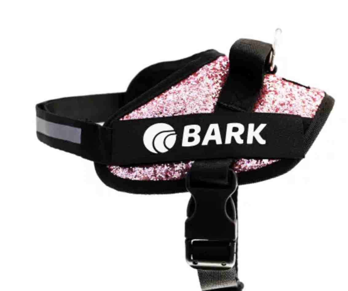 BARK CLASICO XS GLITTER 