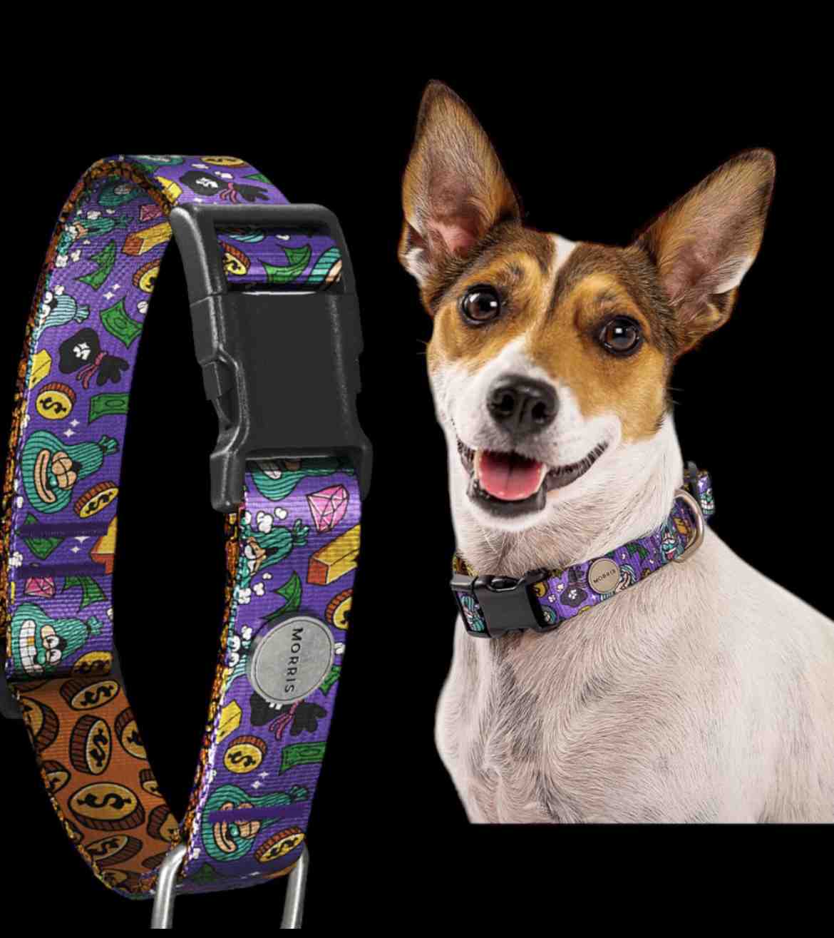 MORRIS COLLAR AFORTUNADXS TALLE M 