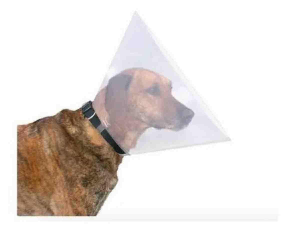 19482 trixie  collar isabelino  s  (28 a 33 cm )