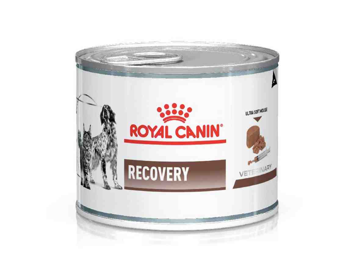 LATA ROYAL RECOVERY 