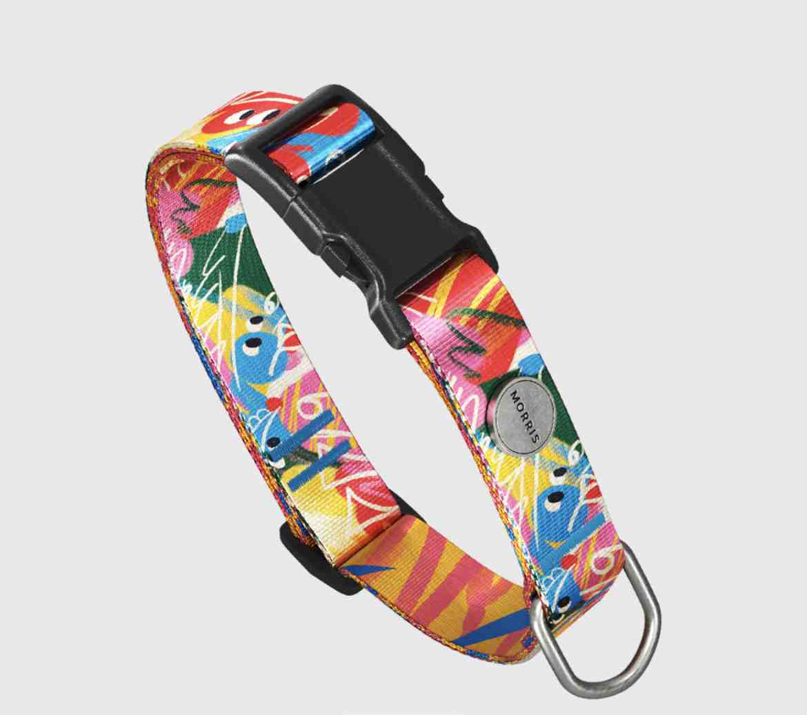 MORRIS COLLAR GUAU M 