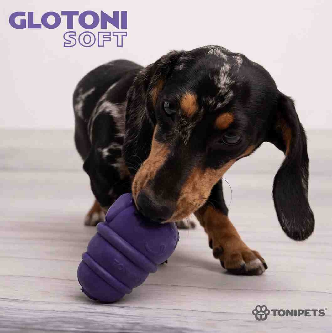 GLOTONI SOFT S