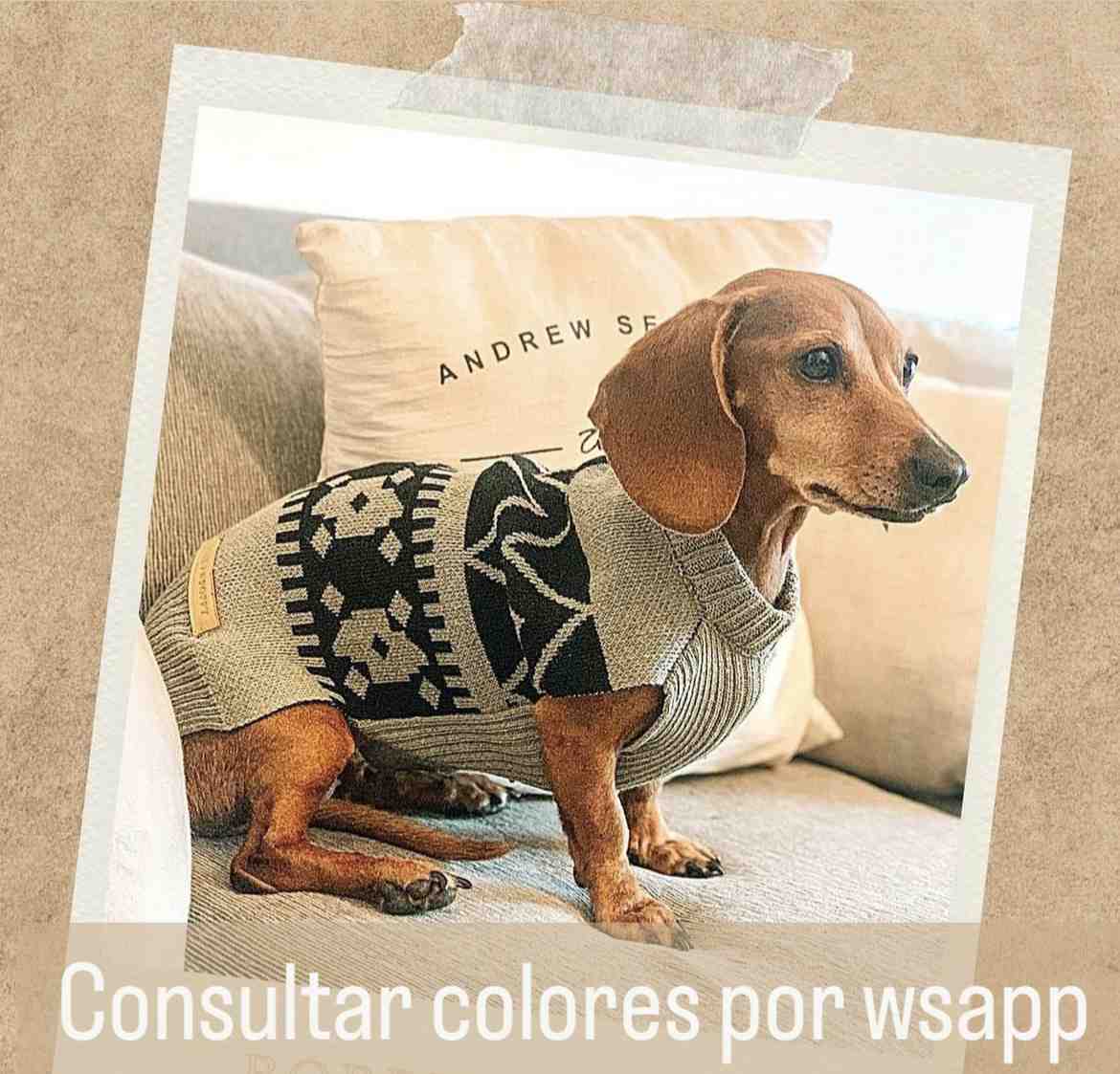 SWETER ASPEN XL