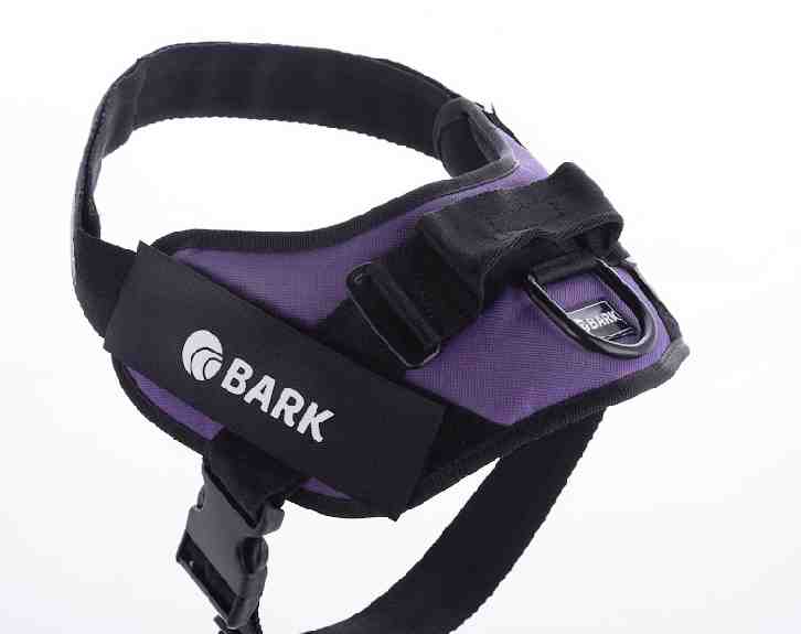 BARK CLASICO S VIOLETA 