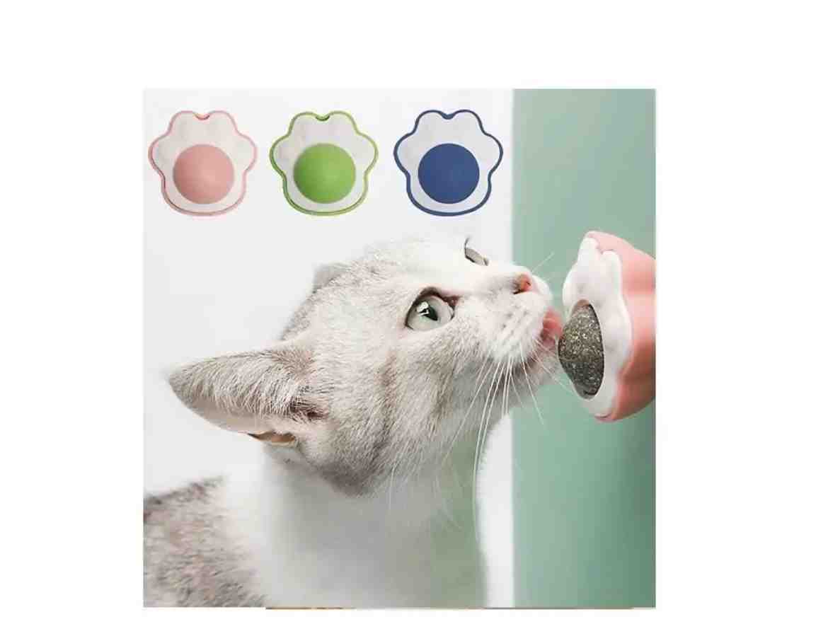 PATITA AUTOADHESIVAS CON CATNIP 