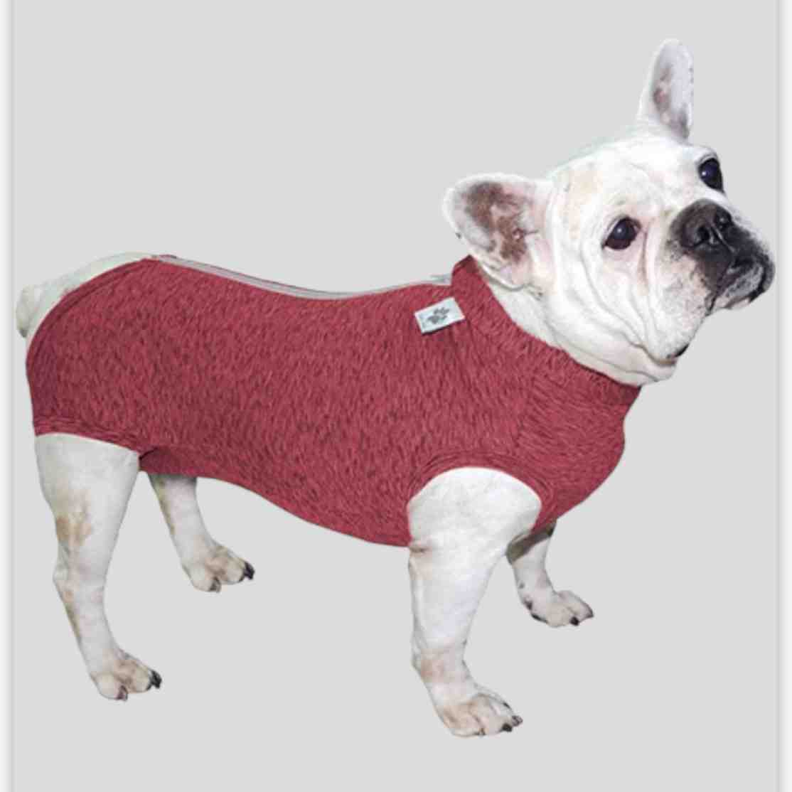 ROPA  PROTECT UV/POSTQUIRURGICA BULLDOG FRANCES TG