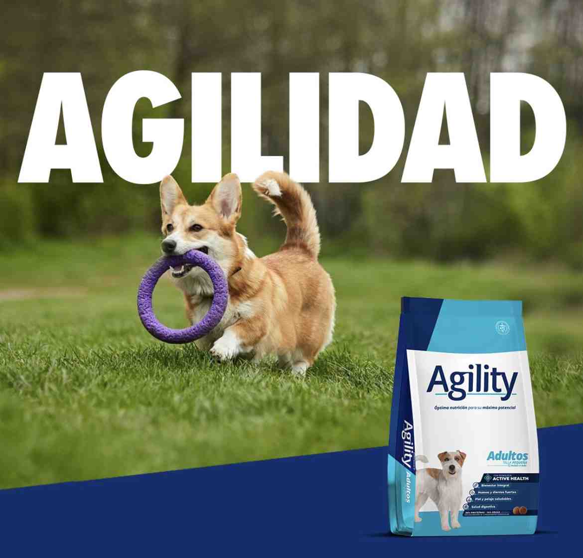 AGILITY ADULTO TALLA PEQUEÑA X 3KG