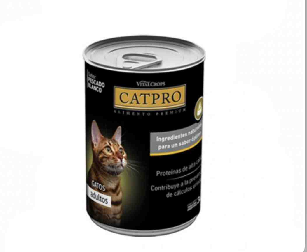LATA CATPRO X 340gr SARDINA