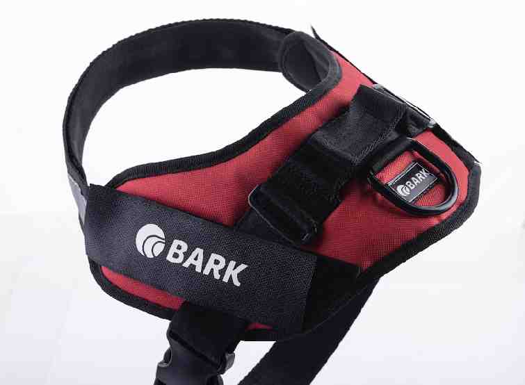 BARK CLASICO S BORDO