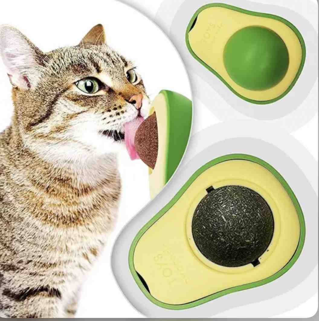 PALTA AUTOADHESIVA CON CATNIP 