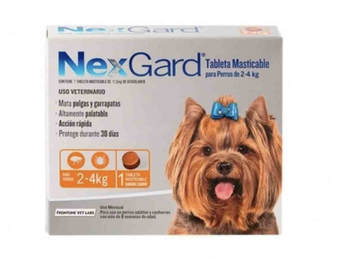 NEXGARD PERRO (2 A 4KG) 