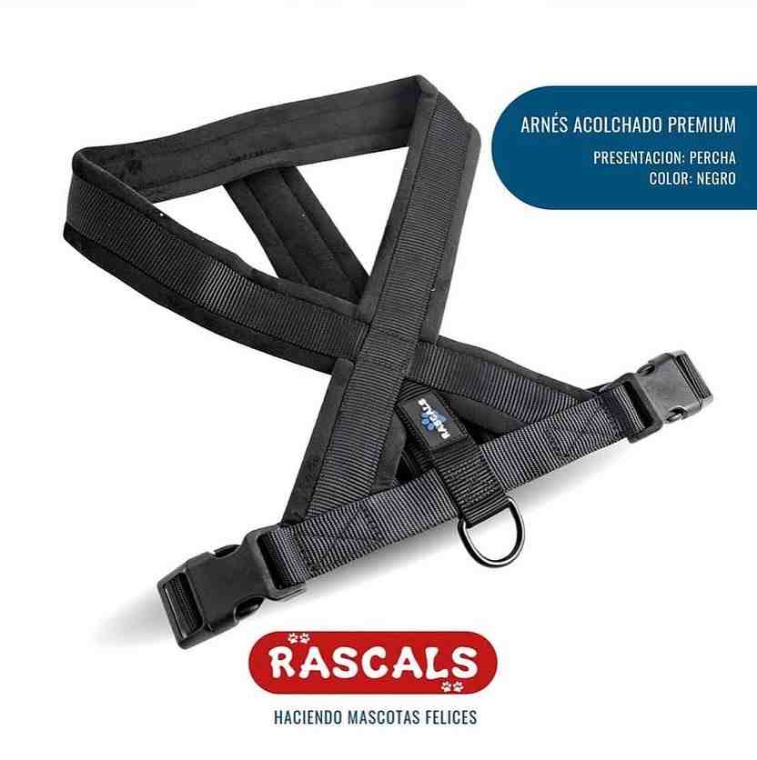 PRE103-XS/S Arnés acolchado Premium  negro XS/S