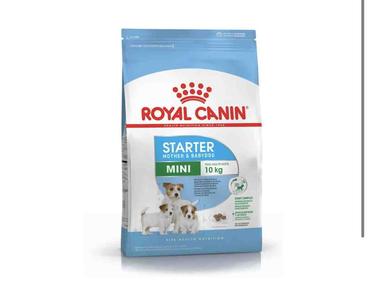 ROYAL STARTER MOTHER Y BABYDOG 1kg