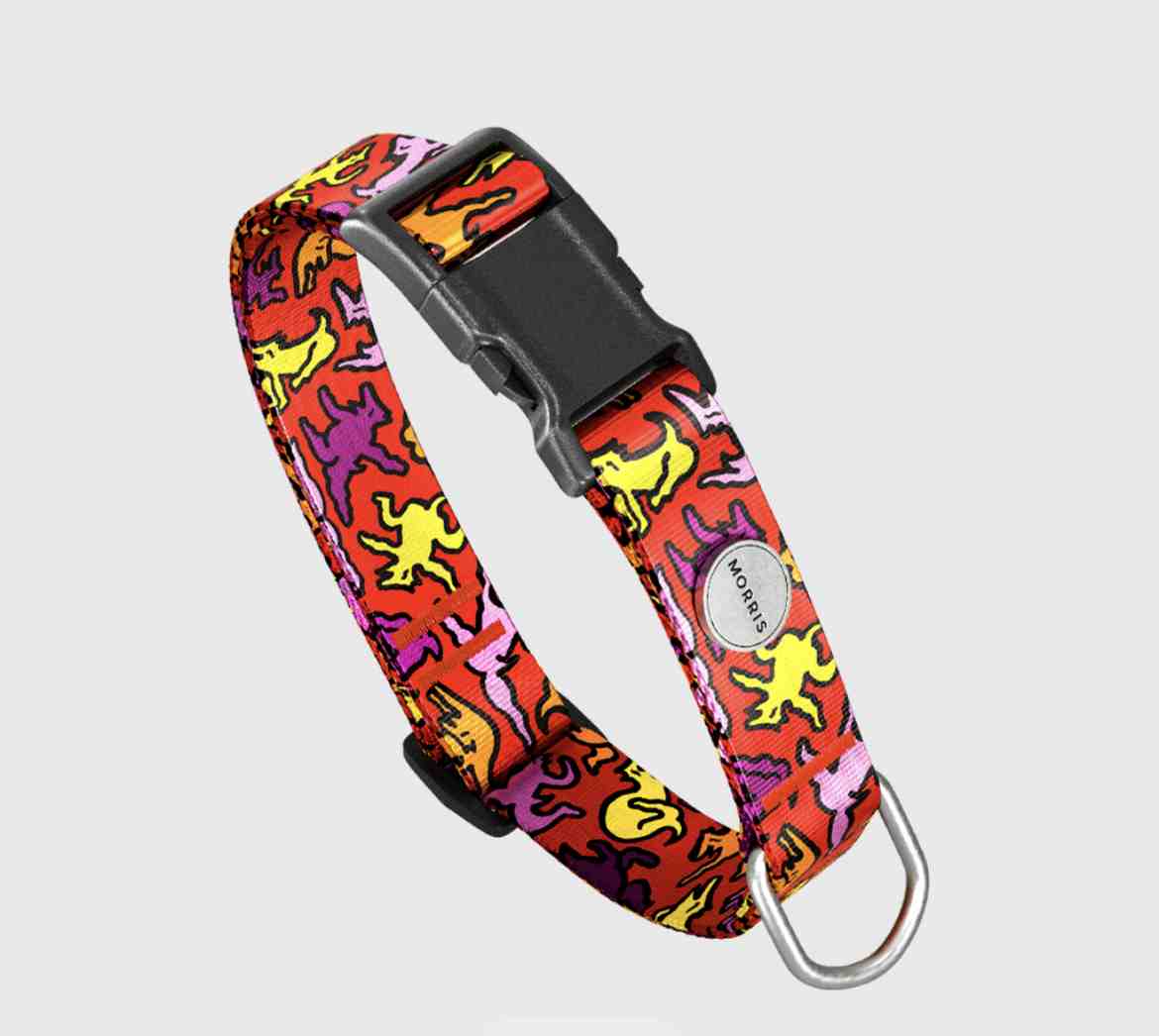 MORRIS COLLAR PERRIS S