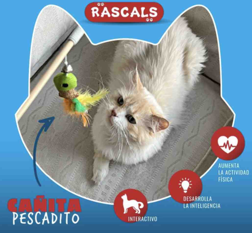 JUG81385 VARITA PARA GATO PEZ VERDE