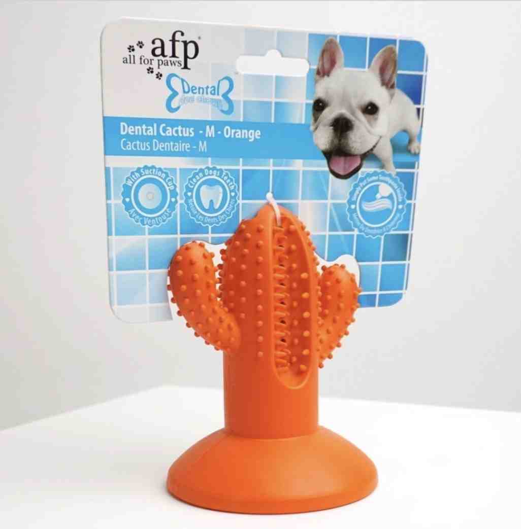 4197 AFP DENTAL CACTUS CON SOPAPA