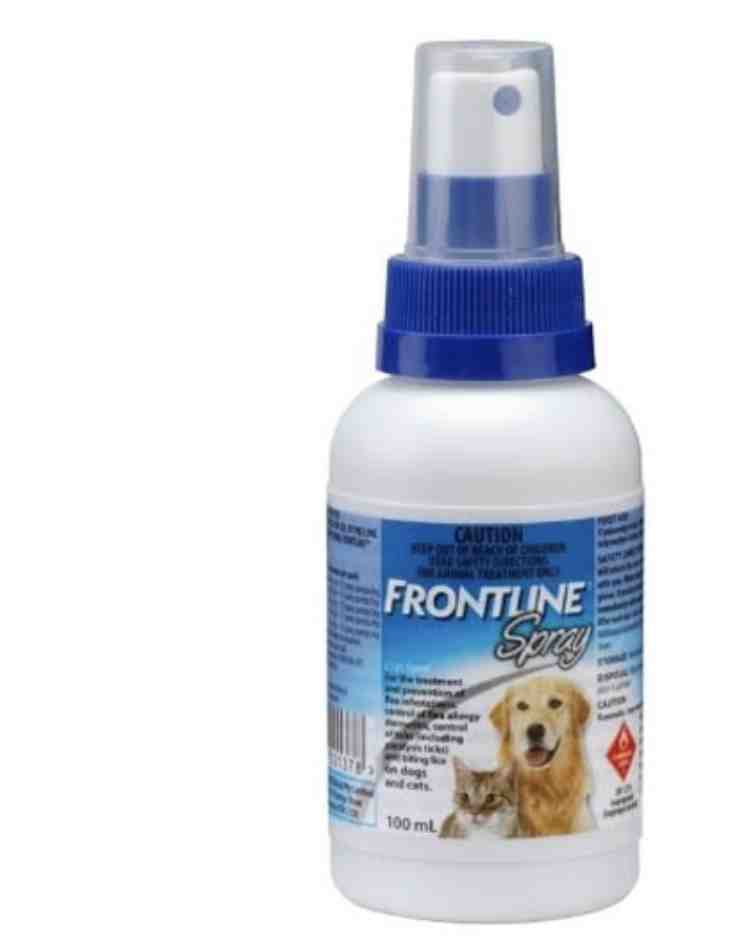 FRONTLINE SPRAYCACHORROS Y GATITOS X 100ml