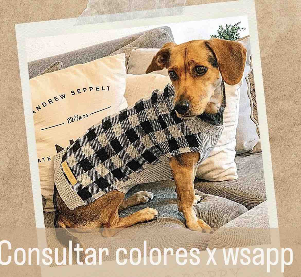 SWETER BOSTON L 