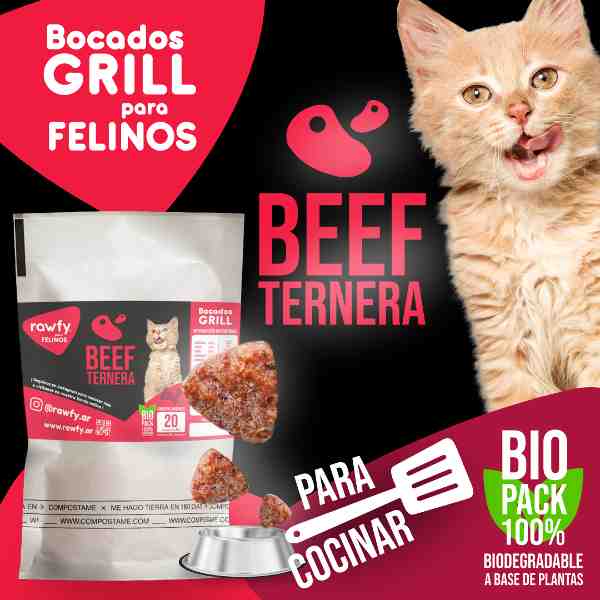 VIANDA GATO RAWFY GRILL X 20 UNIDADES TERNERA