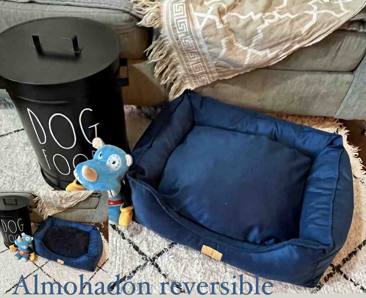 MOISES MOLLY AZUL TALLE 1 40 X 50 CM