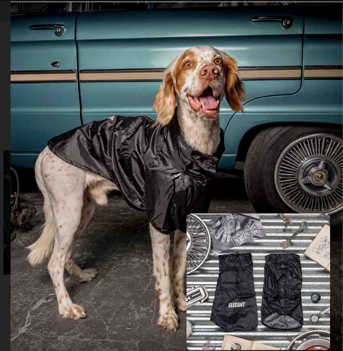 PILOTO ART 370 TALLE 5
