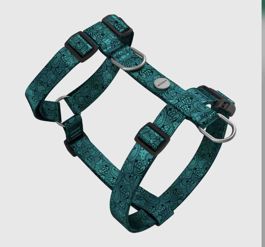 MORRIS ARNES H TIFF TALLE L 