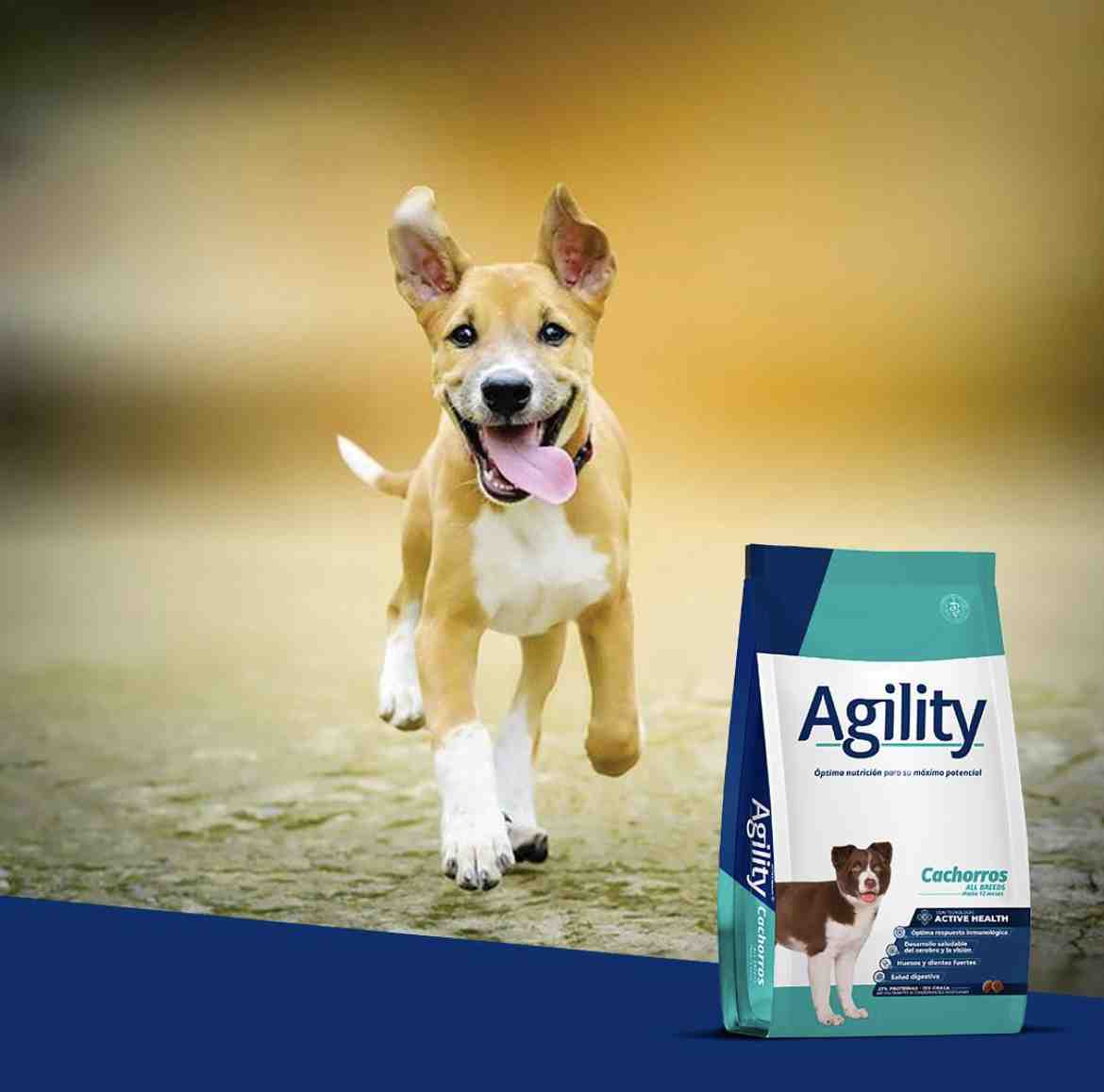 AGILITY CACHORRO ALL BREED X 15 KG 