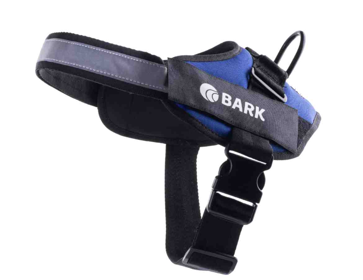 BARK CLASICO 2XL AZUL