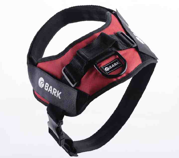 BARK CLASICO XL BORDO 