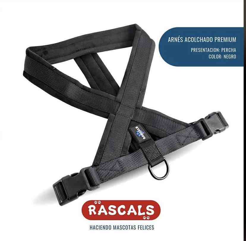 PRE103-S/M Arnés acolchado Premium negro S/M