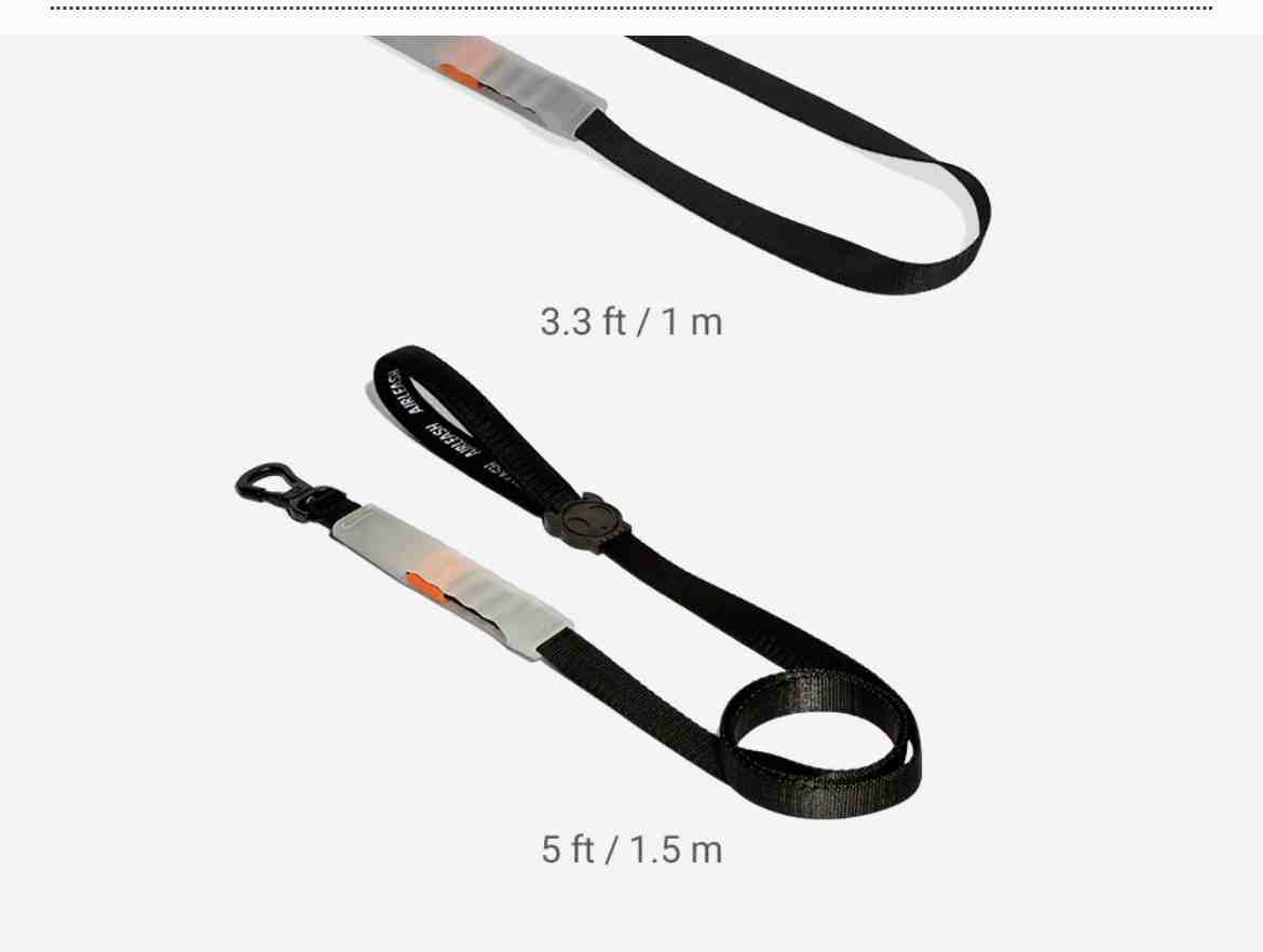 CORREA AIR LEASH NEGRA CLASSIC 